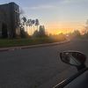 stevendodson805